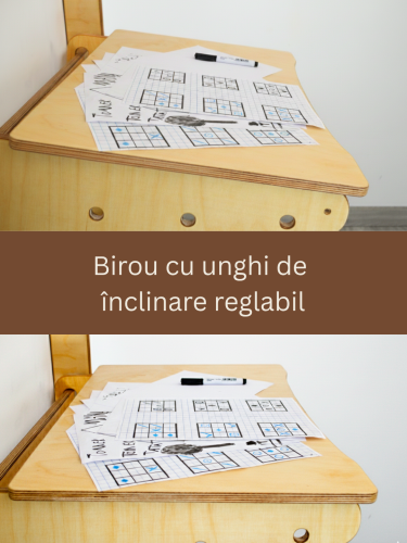 Scară de gimnastică X245