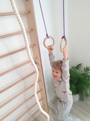 Inele de gimnastică, cercuri, roți