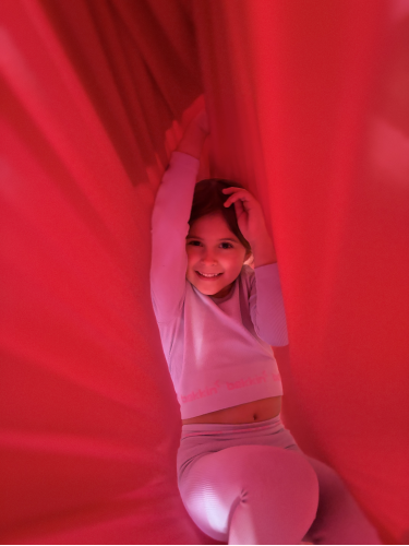 Scară de gimnastică P70