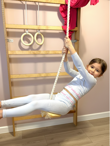 Scară de gimnastică P70